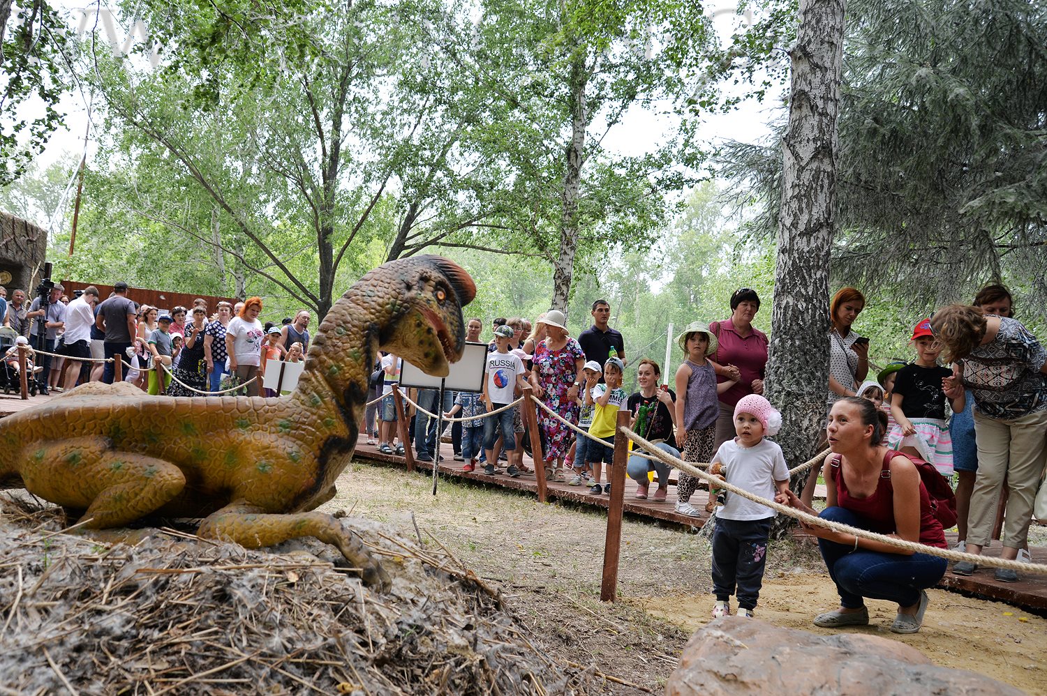 Затерянный мир дона. Парк динозавров «Затерянный мир», Динопарк.